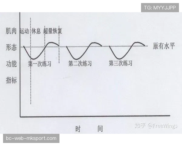 球员康复研究：负荷-恢复量化模型初探，请问训练负荷与恢复之间有何关系